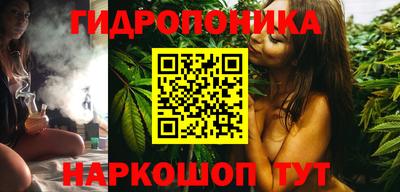 Альфа ПВП Будённовск