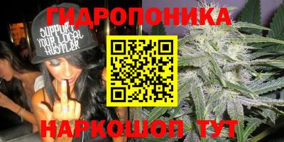 Альфа ПВП Будённовск