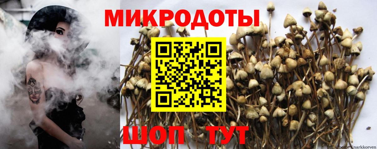 Псилоцибиновые грибы Psilocybine cubensis Ревда