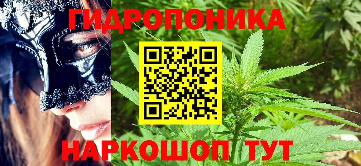 Ревда  Марихуана VHQ  Вход с VPN  Каннабис Bruce Banner 